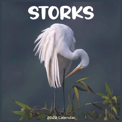 Book cover for Storks 2022 Calendar