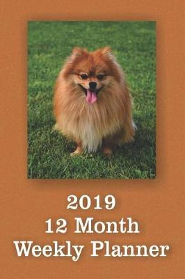 Book cover for 2019 12 Month Weekly Planner