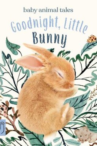 Cover of Goodnight, Little Bunny