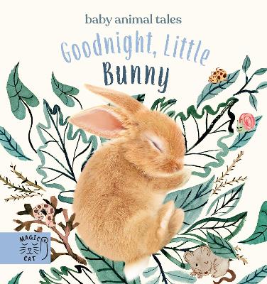 Cover of Goodnight, Little Bunny