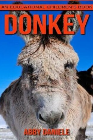 Cover of Donkey! An Educational Children's Book about Donkey with Fun Facts & Photos