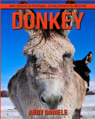 Book cover for Donkey! An Educational Children's Book about Donkey with Fun Facts & Photos