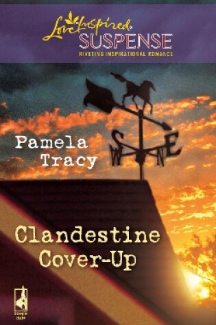 Cover of Clandestine Cover-Up