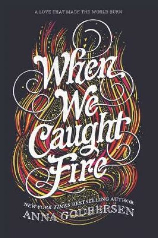 Cover of When We Caught Fire
