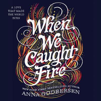 Book cover for When We Caught Fire