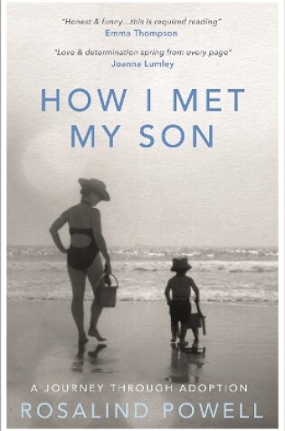 Cover of How I Met My Son