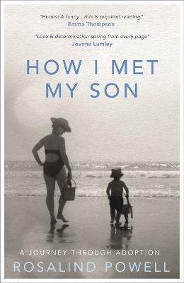 Book cover for How I Met My Son