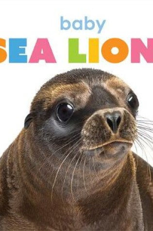 Cover of Baby Sea Lions