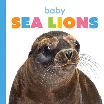 Book cover for Baby Sea Lions