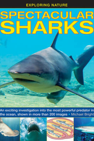 Cover of Exploring Nature: Spectacular Sharks