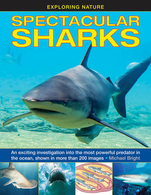 Book cover for Exploring Nature: Spectacular Sharks