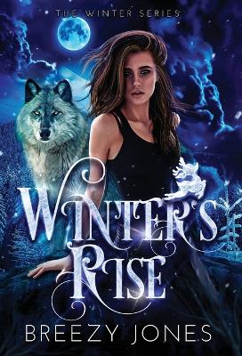 Book cover for Winter's Rise