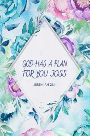 Cover of God Has a Plan For You Joss Jeremiah 29