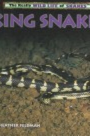 Cover of King Snakes
