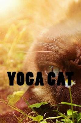 Book cover for Yoga Cat