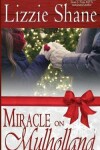 Book cover for Miracle on Mulholland