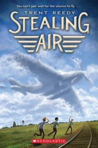 Cover of Stealing Air