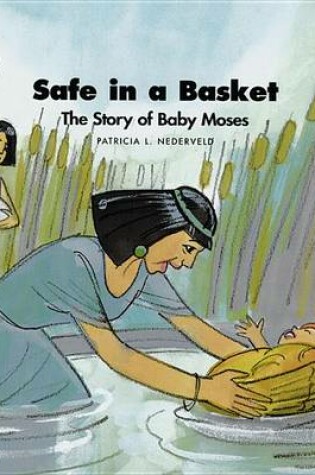 Cover of Safe in a Basket