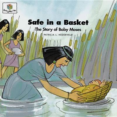 Book cover for Safe in a Basket