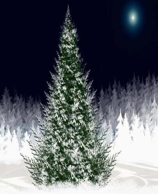 Book cover for Silent Night Christmas Eve Forest Snowcovered Evergreen Comp Book 130 Pages