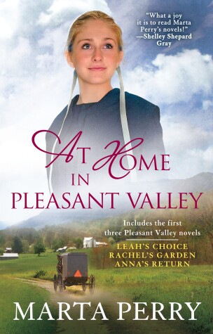 Book cover for At Home in Pleasant Valley