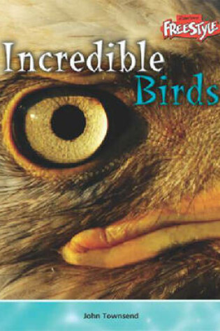 Cover of Incredible Creatures: Birds