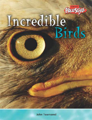 Book cover for Incredible Creatures: Birds