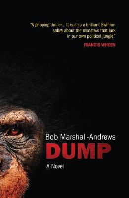 Book cover for Dump