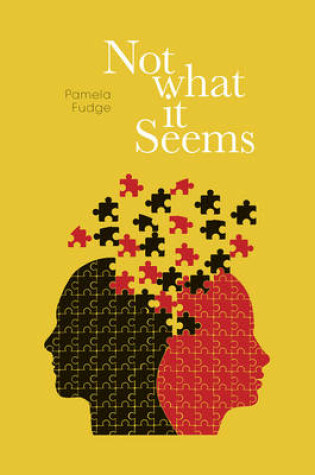 Cover of Not What it Seems