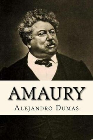 Cover of Amaury (Spanish Edition)