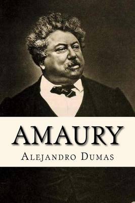 Book cover for Amaury (Spanish Edition)