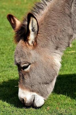 Book cover for Donkey Grazing on Grass Journal