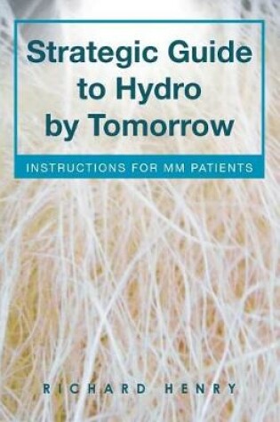 Cover of Strategic Guide to Hydro by Tomorrow