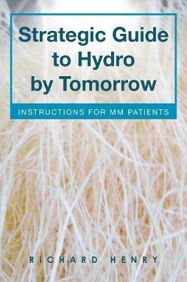 Book cover for Strategic Guide to Hydro by Tomorrow