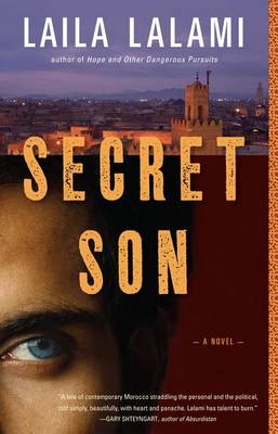 Book cover for Secret Son