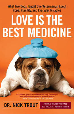 Book cover for Love Is the Best Medicine