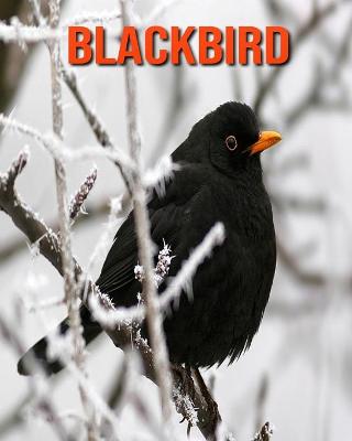 Book cover for Blackbird