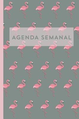 Book cover for Agenda semanal Flamenco Diario Calendario Organizador regalo