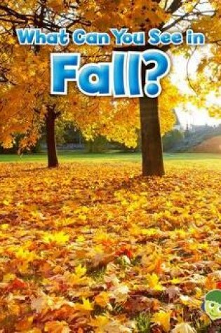 Cover of What Can You See in Fall? (Seasons)