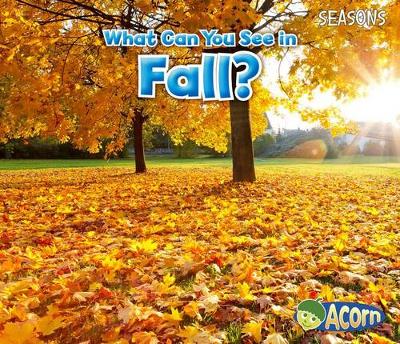 Book cover for What Can You See in Fall? (Seasons)