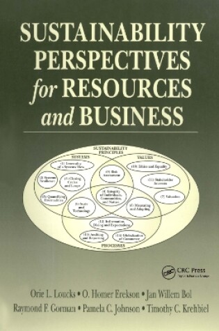 Cover of Sustainability Perspectives for Resources and Business