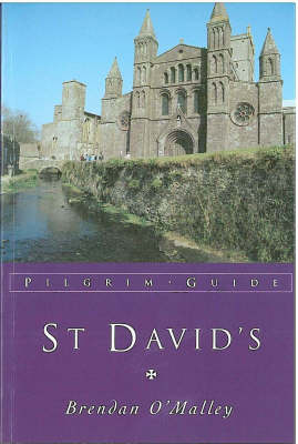 Book cover for St. David's