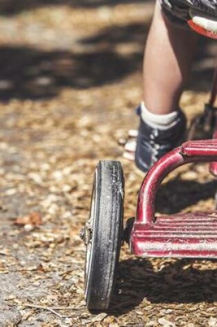 Cover of Riding a Tricycle in Fall Journal