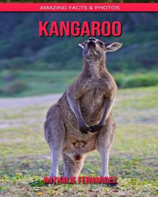 Book cover for Kangaroo