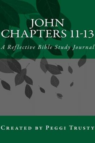 Cover of John, Chapters 11-13