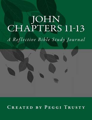 Book cover for John, Chapters 11-13