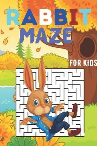 Cover of Rabbit Maze for Kids