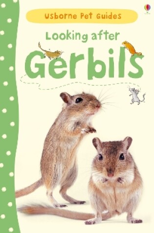 Cover of Looking after Gerbils