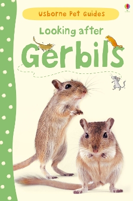 Book cover for Looking after Gerbils
