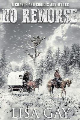 Book cover for No Remorse_Large Print